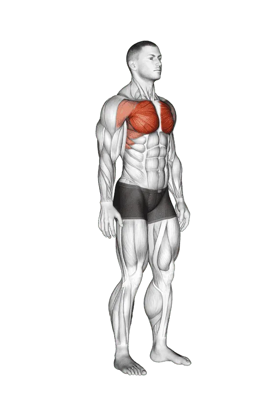Above Head Chest Stretch