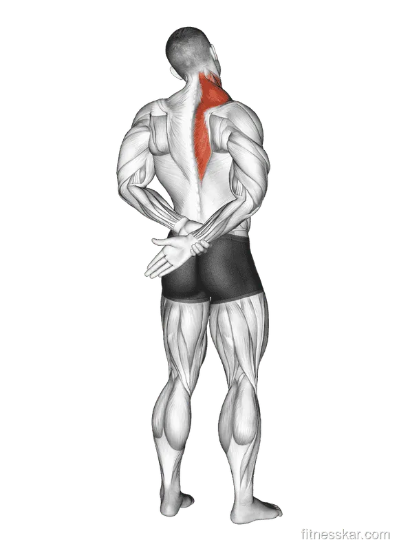Adduction of Arm in Back Stretch, Male demonstration, Start