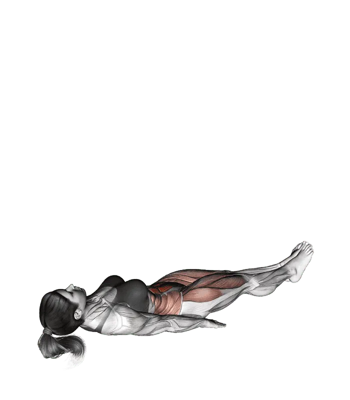 Alternate Lying Floor Leg Raise
