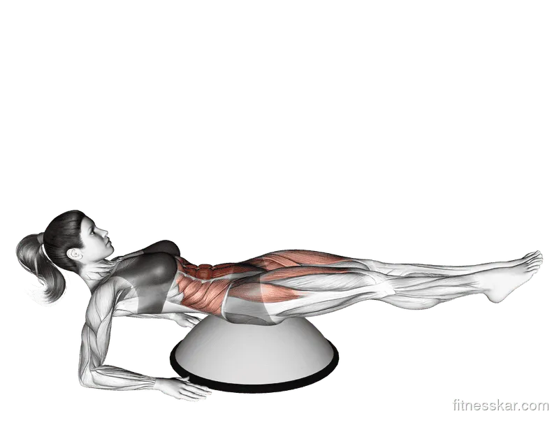 Alternate Straight Leg Raise (on Bosu Ball)