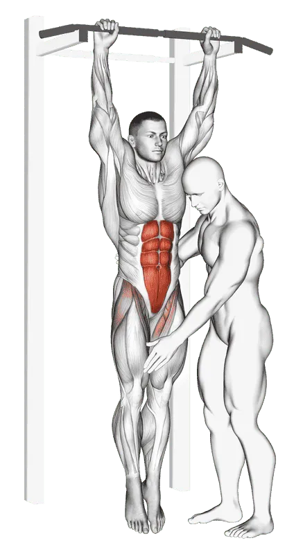 Assisted Hanging Knee Raise, Male demonstration, Start