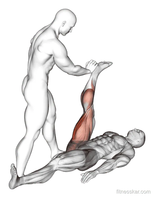Assisted Lying Hamstring Stretch, Male demonstration, Start