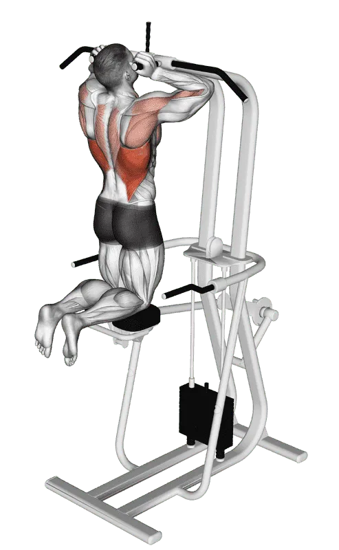 Assisted Parallel Close-Grip Pull-Up, Male demonstration, Start