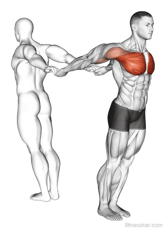 Assisted Pulling Back Chest Stretch, Male demonstration, Start