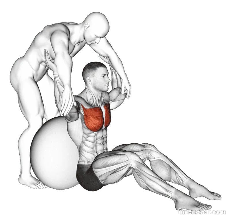 Assisted Seated Pectoralis Major Stretch With Stability Ball, Male demonstration, Start