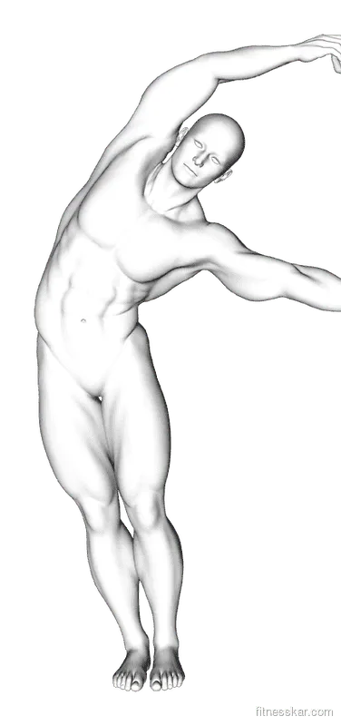 Assisted Side Bend, Male demonstration, Start