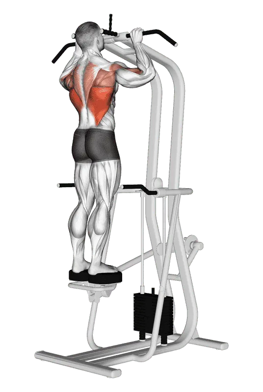 Assisted Standing Pull-Up, Male demonstration, Start