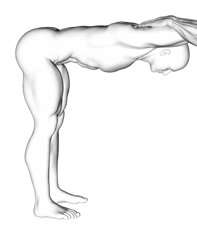 Assisted Trunk Flex Chest Stretch, Male demonstration, Start