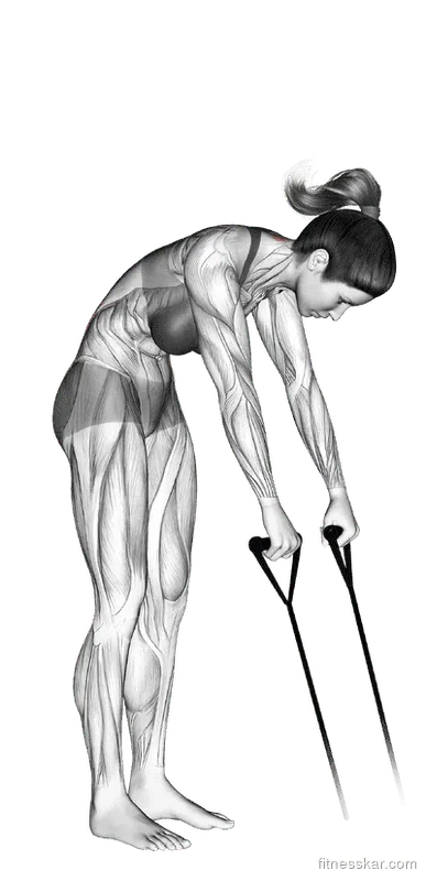 Band Back Extension