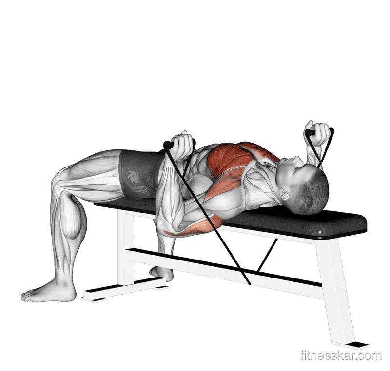 Band Bench Press