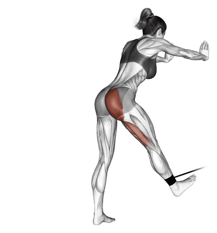 Band Bent-Over Hip Extension, Female demonstration, Start