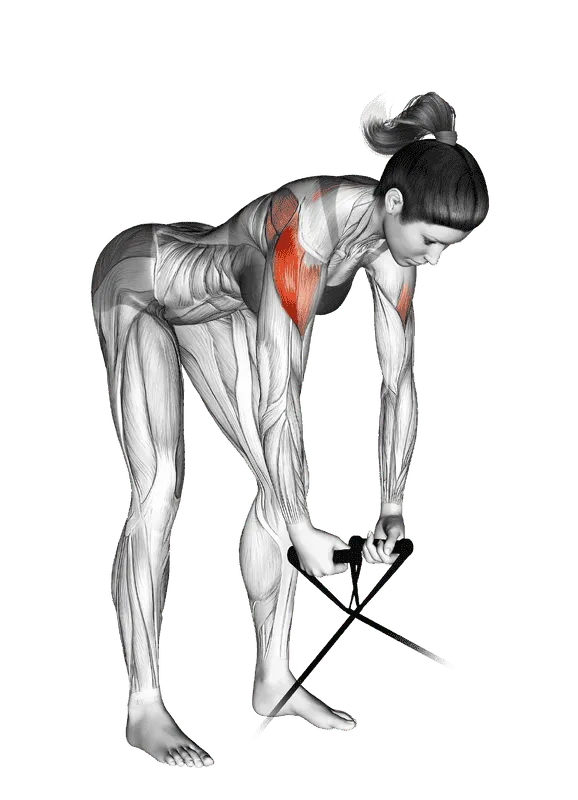 Band Bent-Over Rear Lateral Raise