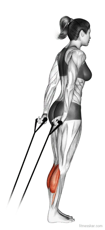 Band Calf Raise, Female demonstration, Start