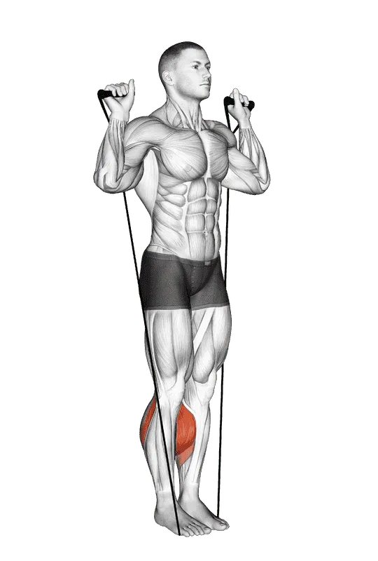 Band Calf Raise