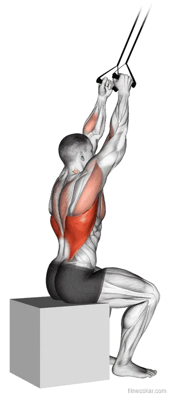 Band Close-Grip Pulldown