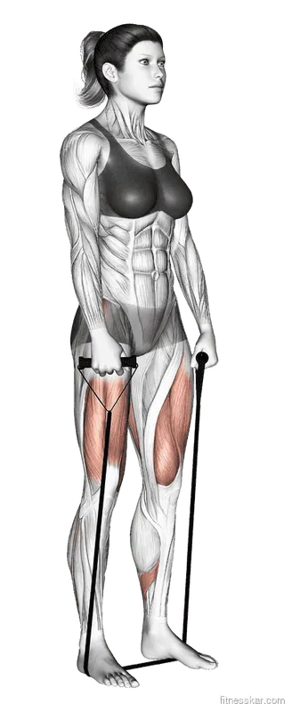 Band Deadlift