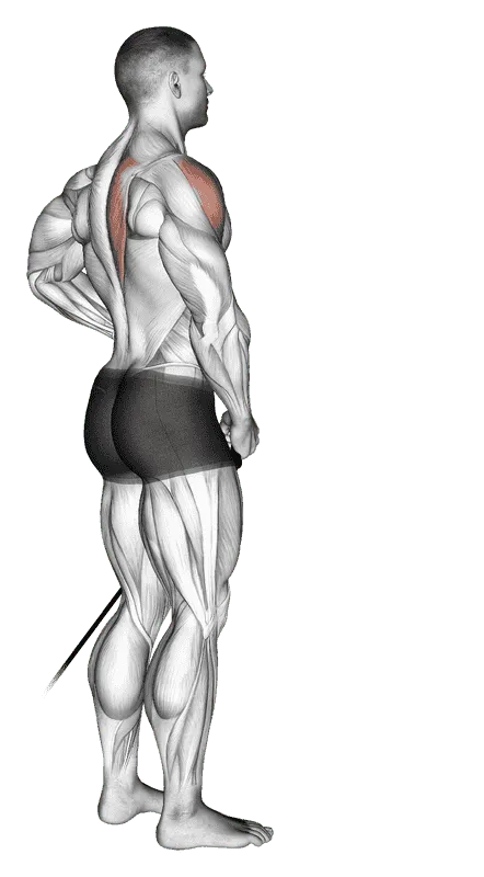 Band Front Lateral Raise, Male demonstration, Start