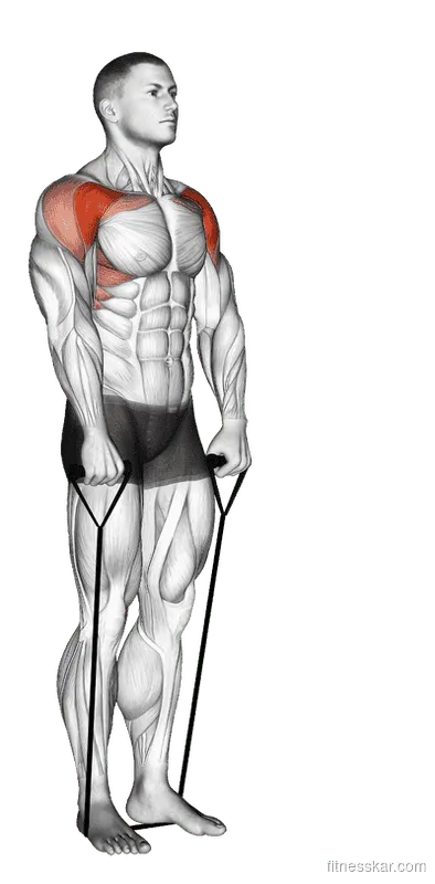 Band Front Raise