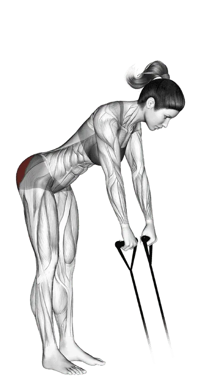 Band Hip Extension, Female demonstration, Start