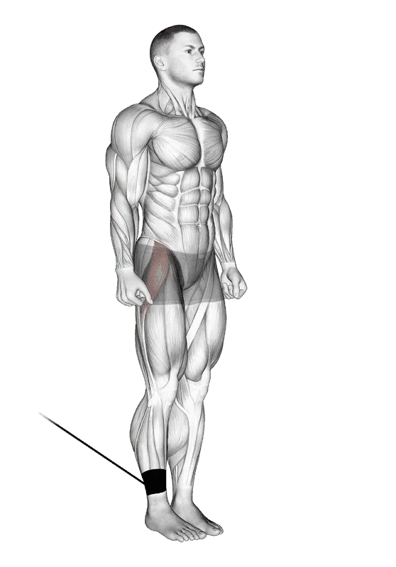 Band Hip Flexion, Male demonstration, Start