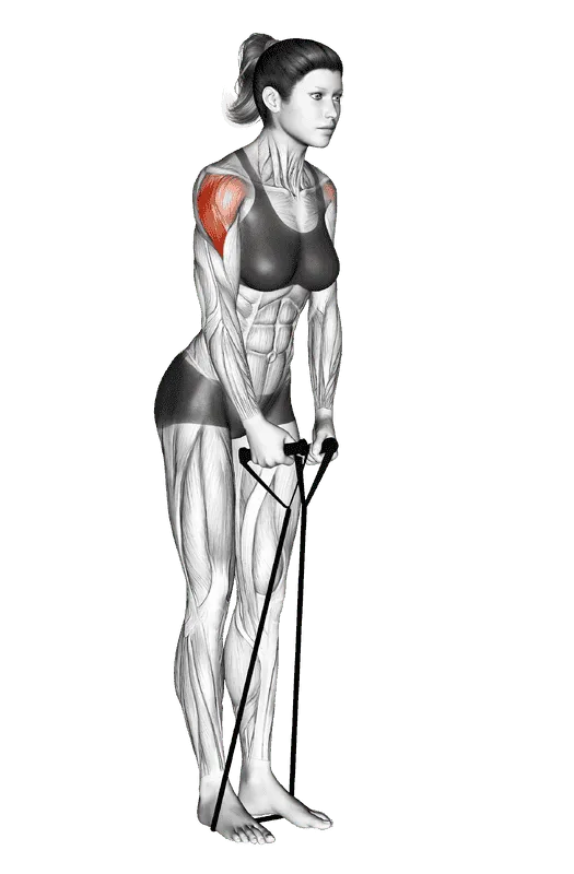 Band Lateral Raise, Female demonstration, Start