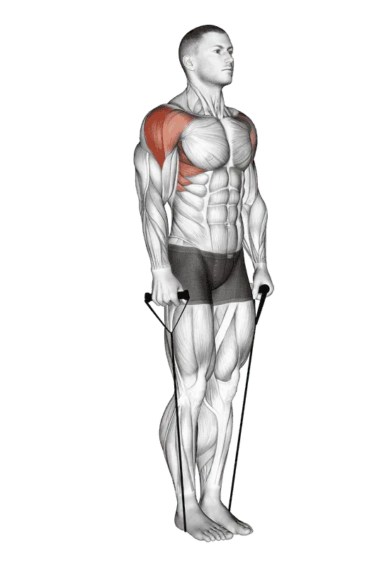 Band Lateral Raise