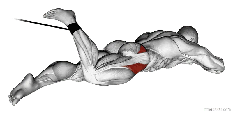 Band Lying Hip Internal Rotation, Male demonstration, Start