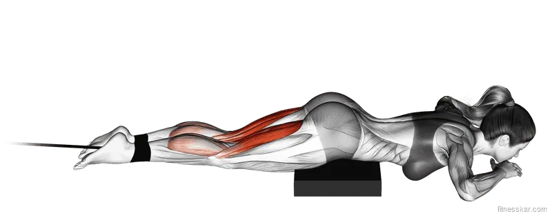 Band Lying Leg Curl, Female demonstration, Start