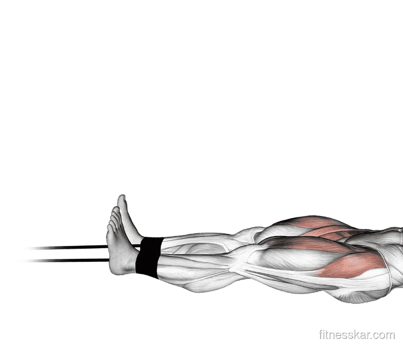 Band Lying Straight Leg Raise