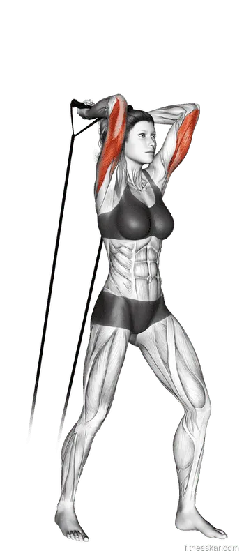 Band Overhead Triceps Extension