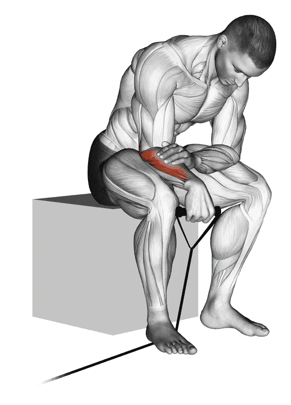 Band Reverse Wrist Curl