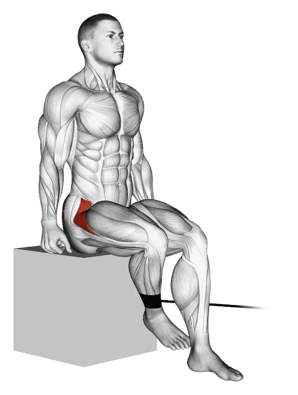 Band Seated Hip Internal Rotation, Male demonstration, Start