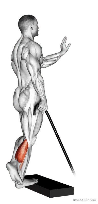 Band Single-Leg Calf Raise