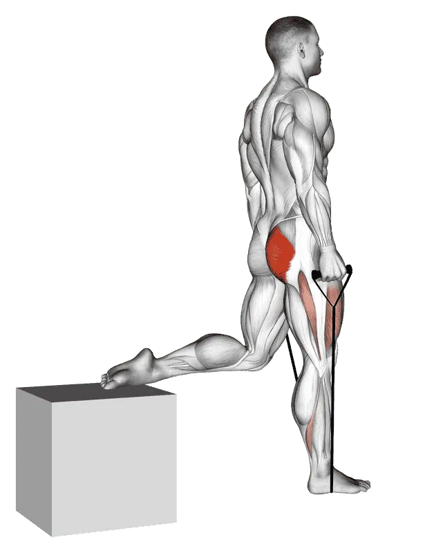 Band Single-Leg Split Squat, Male demonstration, Start