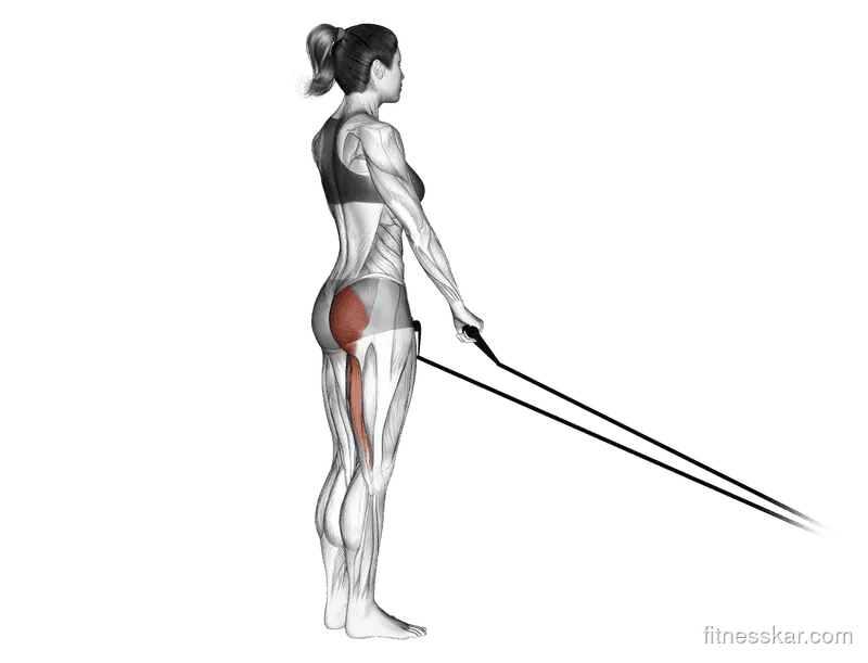 Band Single-stiff-leg Deadlift