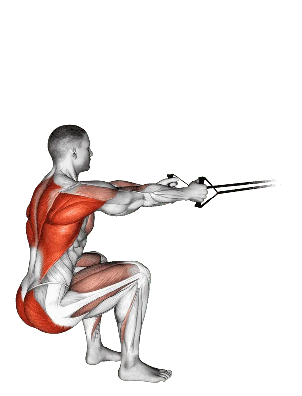 Band Squat Row, Male demonstration, Start