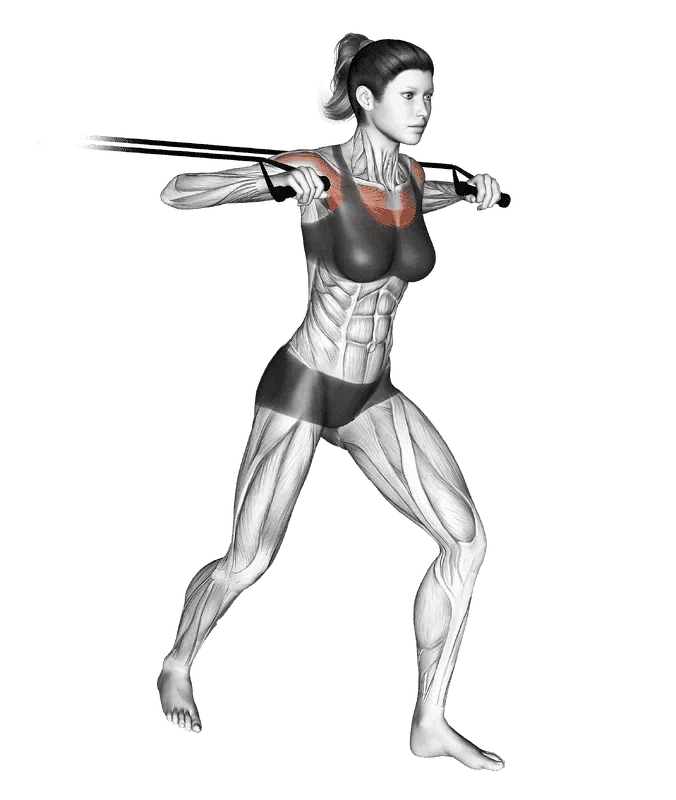 Band Standing Chest Press