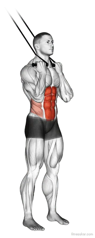 Band Standing Crunch, Male demonstration, Start