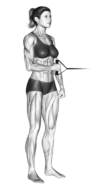 Band Standing External Shoulder Rotation
