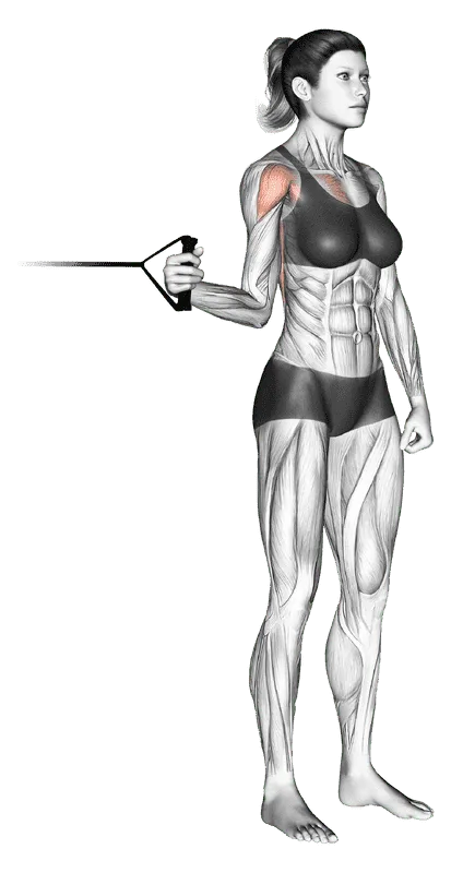Band Standing Internal Shoulder Rotation, Female demonstration, Start