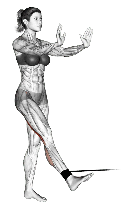 Band Standing Leg Curl, Female demonstration, Start
