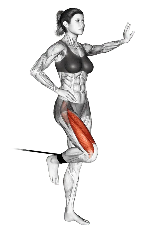 Band Standing Leg Extension, Female demonstration, Start
