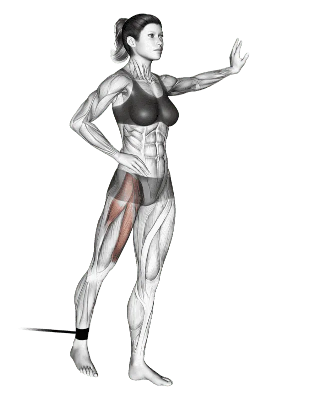 Band Standing Straight Leg Raise, Female demonstration, Start