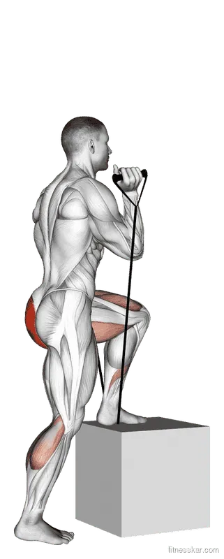 Band Step-Up, Male demonstration, Start