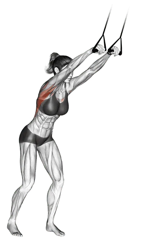 Band Straight-Arm Pulldown