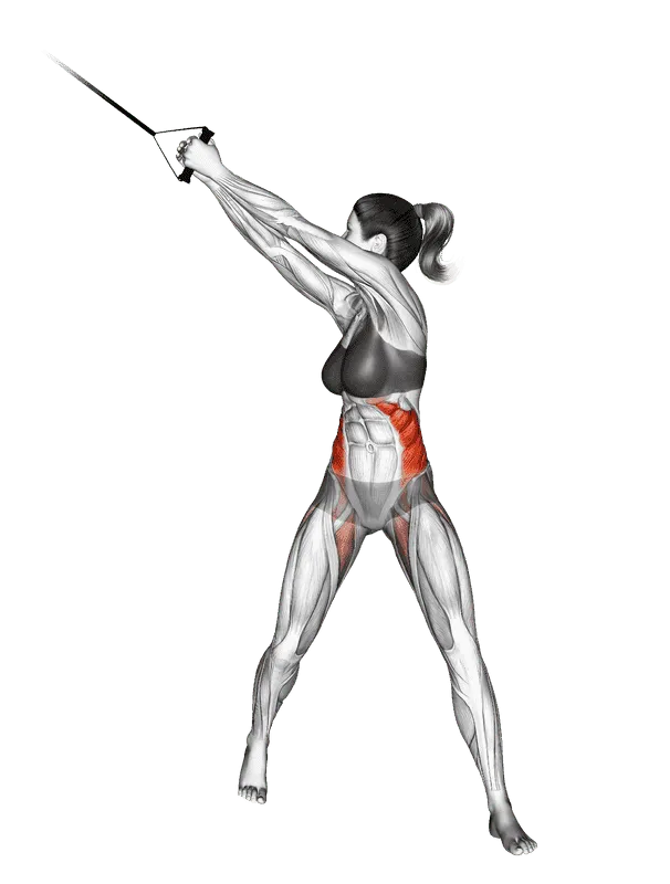 Band Twist (Up-Down), Female demonstration, Start