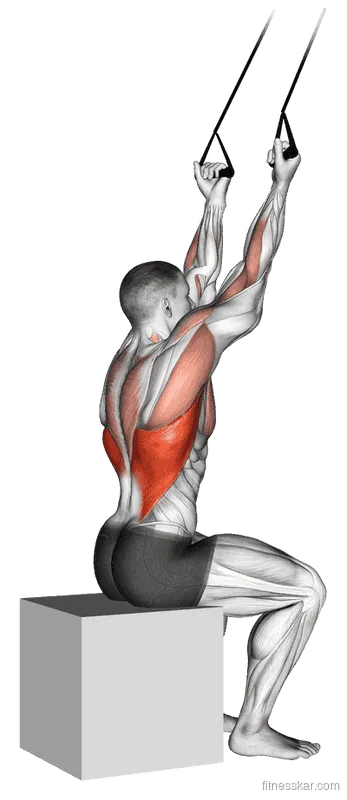 Band Underhand Pulldown, Male demonstration, Start