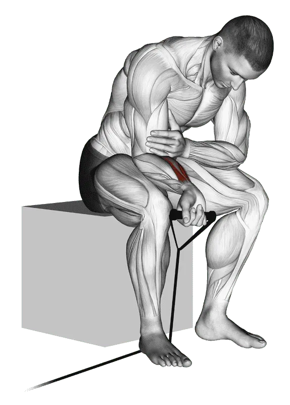 Band Wrist Curl