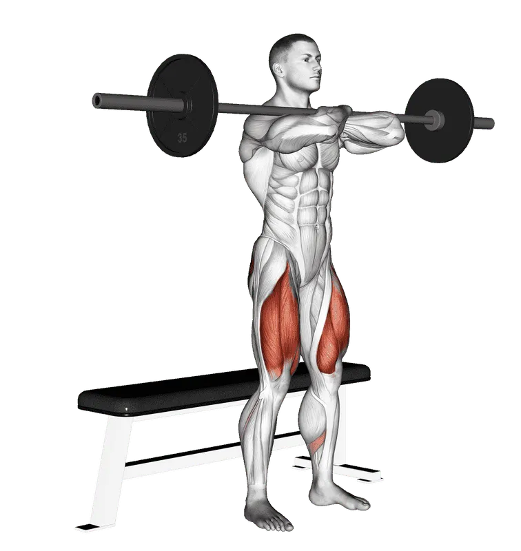 Barbell Bench Front Squat, Male demonstration, Start