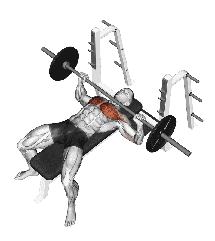 Barbell Bench Press